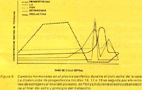 7b.jpg (26505 bytes)