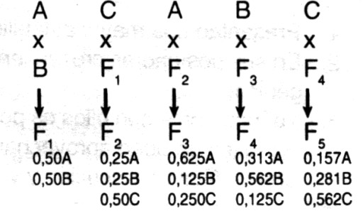 CRUCE6a.jpg (33828 bytes)