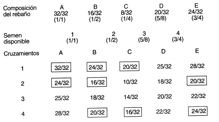 cruce1a.jpg (48830 bytes)