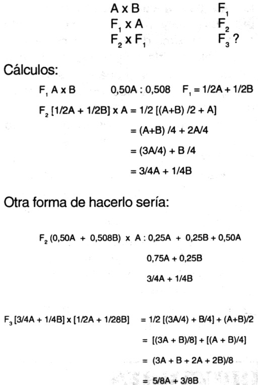 cruce4a.jpg (55409 bytes)