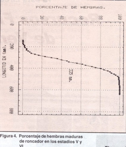 roncador4a.jpg (55787 bytes)