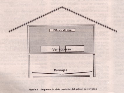 semen3a.jpg (31735 bytes)