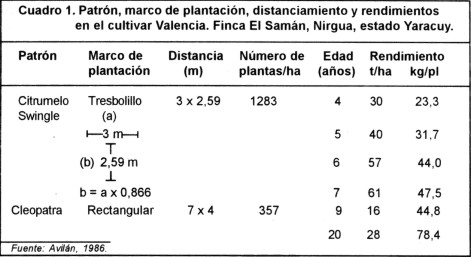 cuadronaran1.jpg (35090 bytes)