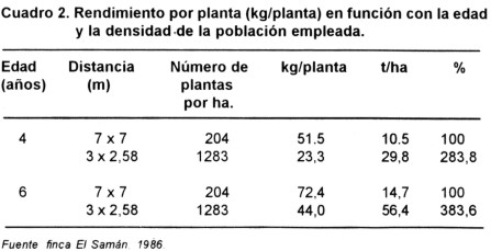 cuadronaran2.jpg (29316 bytes)