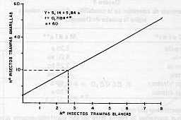 Fig. 3. CORRELACIN Y REGRESIN LINEAL OBSERVADA ENTRE TRAMPAS BLANCAS Y AMARILLAS