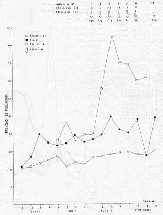 Grfico 2. Dinmica poblacional de candelilla en la finca Agroinversora Durigua en 1978, indicando aplicaciones de insecticidas y su eficiencia. Pra las abreviaturas ver grfico 1.