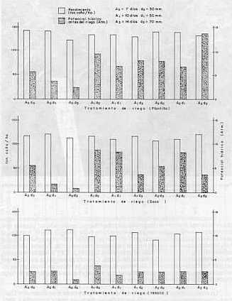 Figura 2. Comparacin entre el rendimiento (t caa/ha), el potencial hdrico y los tratamientos de riego, obtenidos durante la poca de plantilla, soca y resoca en un suelo con problemas de estructuracin. Maracay. 1988.