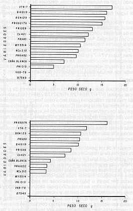 Figura 3.Peso seco en 14 variedades de caa de azcar. en dos suelos afectados por sales: a) suelo salino finca Buena Vista; b) suelo salino-sdico finca Guacabra.