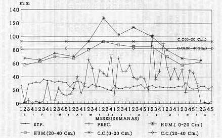 FIG. 1.BALANCE HDRICO DEL REA EXPERIMENTAL SABANETA