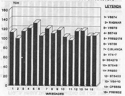 FIG. 2.RESULTADOS PROMEDIO DE LOS TRES CICLOS DE TONELADAS DE CAA POR HA. (TCH)