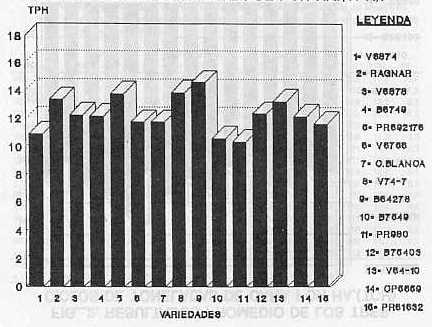 FIG. 3.RESULTADOS PROMEDIO DE LOS TRES CICLOS DE TONELADAS DE CAA POR HA. (TCH)