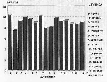 FIG. 4.RESULTADOS PROMEDIO DE LOS TRES CICLOS DE TONELADAS DE CAA POR HA. (TCH)