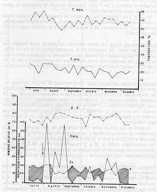 Fig. 1.CLIMATOGRAMA SEMANAL DE LA HACIENDA EL PALMAR DURANTE LA EJECUCIN DEL ENSAYO EN 1991, CON MEDIDAS DE EVAPORACIN (Ev.), PRECIPITACIN (Precip:), HUMEDAD RELATIVA (H.R.), TEMPERATURA MNIMA (T. min:), TEMPERATURA MXIMA (T. max:). LA FLECHA INDICA FECHA DE APLICACIN DE CERONE, EL 24-07-91 Y EL ASTERISCO LA COSECHA EL 11-12-91.