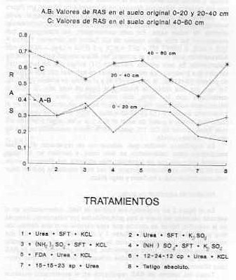 Figura 3. Valores de RAS, registrados en el suelo a tres profundidades despus del corte de la caa clase planta, a los 13 meses, por tratamiento.