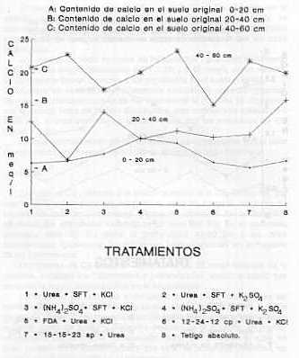 Figura 5. Valores de Calcio en meq/l registrados en el suelo a tres profundidades despus del corte de la caa clase planta, a los 13 meses, por tratamiento.