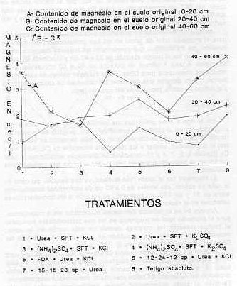 Figura 6. Valores de Magnesio en meq/l registrados en el suelo a tres profundidades despus del corte de la caa clase planta, a los 13 meses, por tratamiento.