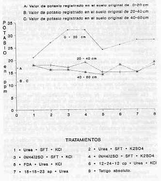 Figura 10. Niveles de potasio en ppm, registrados en el suelo a tres profundidades, despus del corte de la caa clase planta, a los 13 meses, por tratamiento.