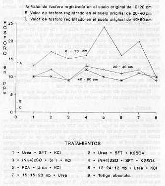 Figura 11. Niveles de fsforo en ppm, registrados en el suelo a tres profundidades, despus del corte de la caa clase planta, a los 13 meses, por tratamiento.