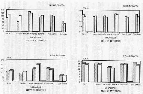 Figura 5. Comportamiento de la variedad V77-24 en diferentes localidades y dos pocas de cosecha.