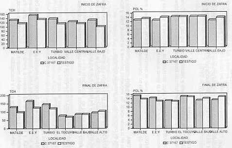 Figura 13. Comportamiento de la variedad C371-67 en diferentes localidades y dos pocas de cosecha.