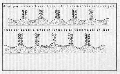 Fig. -2- TECNOLOGA PARA LA CONSTRUCCIN DE LOS SURCOS GUAS EN LA TCNICA DE RIEGO SUPERFICIAL. (Surco alternos de riego).