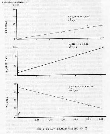 Fig. 2. Probabilidad de obtencin de plantas albinas, clorticas y verdes en los tratamientos de a-bromonaftaleno