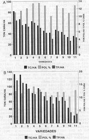 Fig. 2. Resultados de TCH, Pol % y TPH por variedad. A) plantilla B)Soca 1.