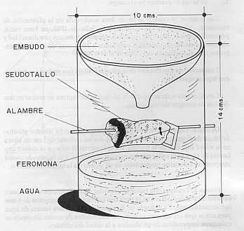 Figura 2. Trampa con embudo