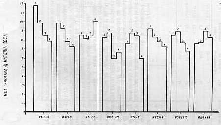 Fig. 2.CONTENIDO PROMEDIO DE PROLINA POR VARIEDAD A LOS SIGUIENTES NIVELES DE HUMEDAD I = -0,30 MPa; 2 = -0,18 MPa; 3 = -0,08 MPa; 4 = -0,03 MPa.