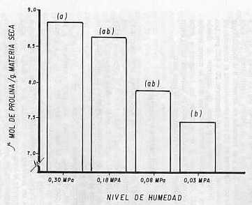 Fig. 1.CONTENIDO PROMEDIO DE PROLINA EN LOS CUATRO NIVELES DE HUMEDAD. LETRAS DIFERENTES INDICAN DIFERENCIAS AL 1% SEGN PRUEBA DE TUKEY.