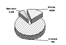 Figura 19. Variable agostamiento - cosecha: edad a la cosecha. 