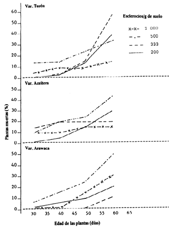 Fig. 1. Porcentaje de mortalidad causado por M. phaseoli hasta los 60 d�as, a diferentes densidades de esclerocios, en tres variedades de ajonjol�.