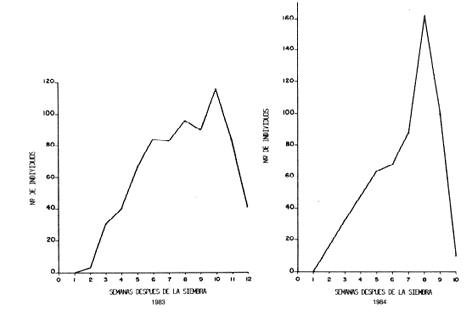 Fig. 4. Variaci�n en el tiempo de la densidad de adultos de A; arcuatus durante 1983 y 1984.