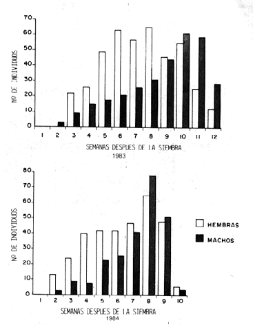 Fig. 6. Variaci�n en el tiempo de sexos en adultos de A. arcuatus durante 1983