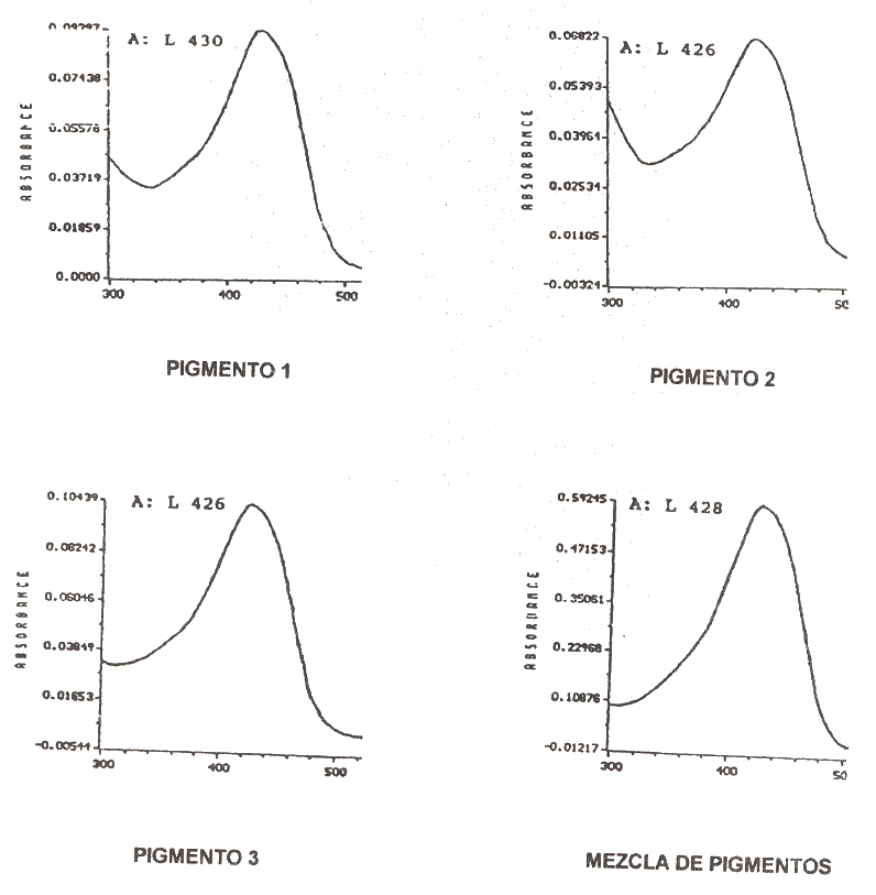 FIGURA 2. Espectro de absorcin de los pigmentos curcuminoides separados por cromatografa de capa fina.