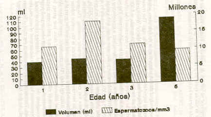 FIGURA 6. produccin individual de semen: volumen (ml) y concentracin(espermatozoos/mm3) en truchas de 1-5 aos.