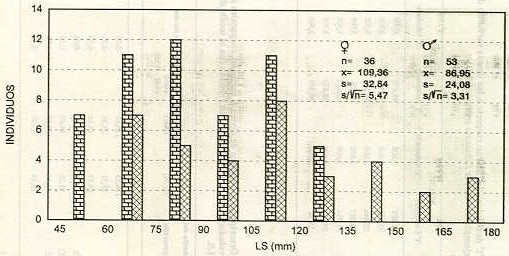 Figura 1. Distribucin de los ejemplares de volador (Lebiasini erythinoides) considerando intervalos del Largo Standard de 15 mm.