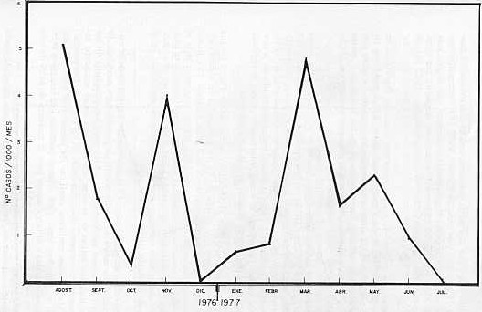 GRAFICO III.   Prevalencia de Distomatosis Heptica en bovinos sacrificados, por mes en el matadero industrial de Punta Iguana . Edo. Zulia. (Agosto 1976 - Julio 1977)