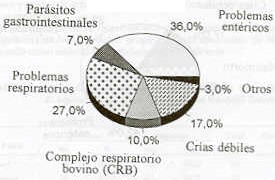 Figura 1. Principales problemas sanitarios en bovinos jvenes  (0-6m ) y adultos  (< 12 m) en fincas del municipio Ezequiel Zamora.