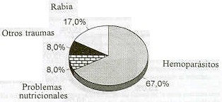 Figura 2. principales causas de mortalidad en bovinos jvenes   (0 - 6 meses ) y adultos (<12 meses) en fincas dobles propsito del municipio Ezequiel Zamora.