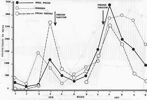 Fig. 1A,- Fluctuaciones de los huevos de trichostrongilinos en ovinos. Promedio mensual. 1976-1977