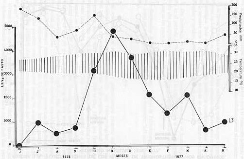 Fig. 1.B.- Promedios mensuales de temperatura, precipitacin y tercer estado larvario (L3). 1976-1977