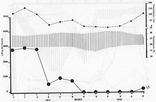 Fig. 2B.- Promedios mensuales de temperatura, precipitacin y tercer estado larvario (L3). 1977-1978