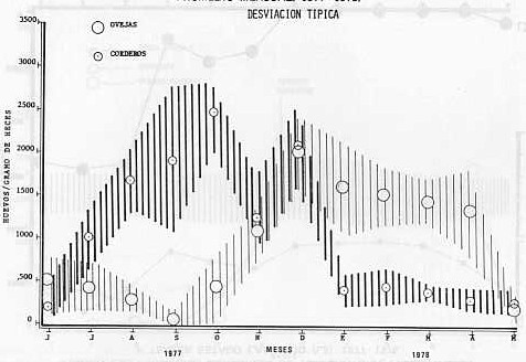 Fig. 2 C.- Fluctuaciones en los huevos de trichostrogilinos en ovinos. Promedio mensual. 1977-1978