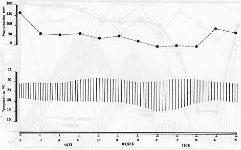 Fig. 3 C.- Promedios mensuales de temperatura y precipitacin 1978-1979