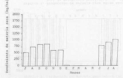 Grfico 3. Produccin de materia seca area (kg/ha) mensual del Cynodon dactylon en el sureste del estado Gurico.