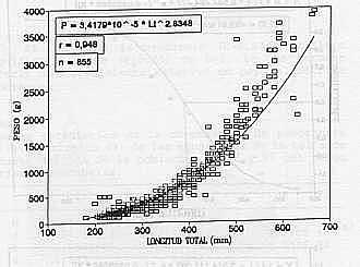 GRAFICO 3. Relacin longitud total-peso del pargo Lutjanus buccanella