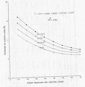 Grfico 5. Contenido porcentual de PC en Brachiaria decumbens en funcin de la dosis de N2 (kg/ha) y edad del rebrote.