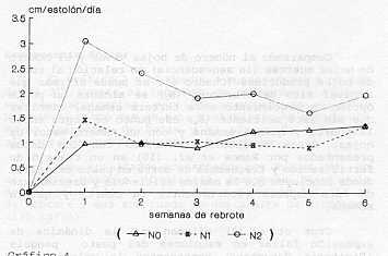 Grafico 3. Efecto del nitrgeno sobre la senescencia foliar.