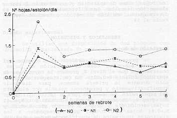 Grafico 1. Efecto del nitrgeno sobre la tasa de aparicin foliar.